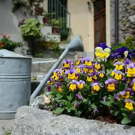 Casa Dolce Casa Appartement